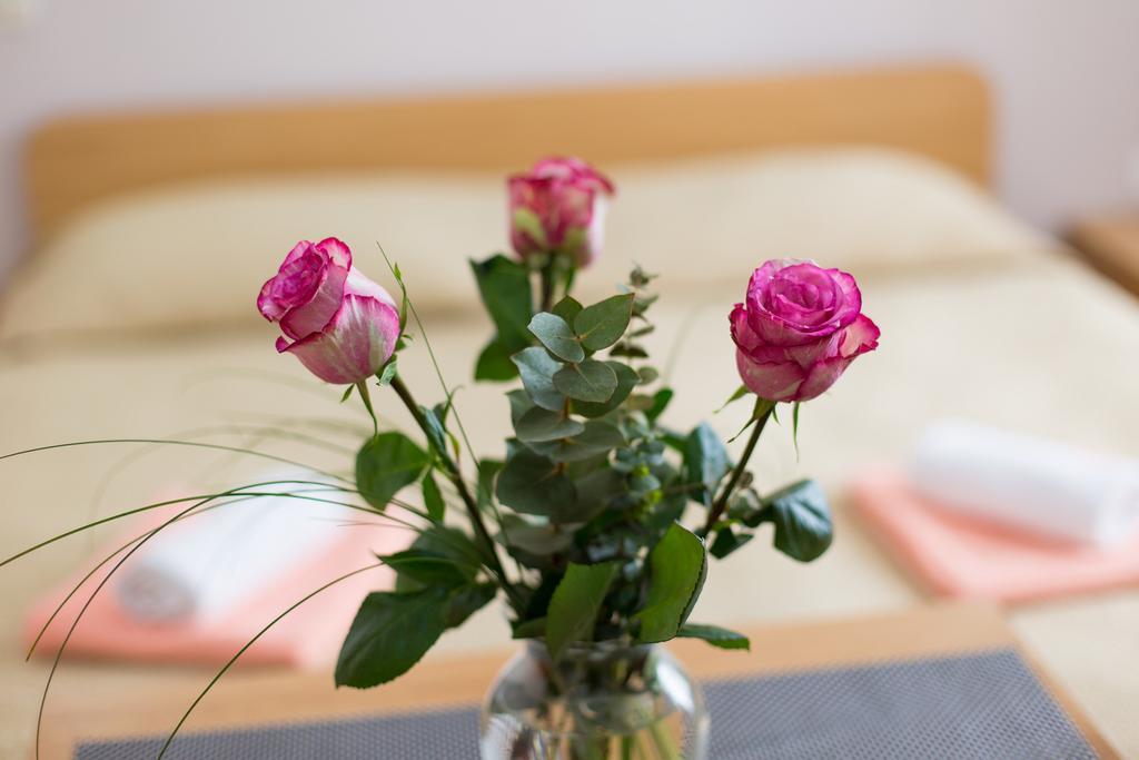 Nadija Studio Apartmani クルク エクステリア 写真